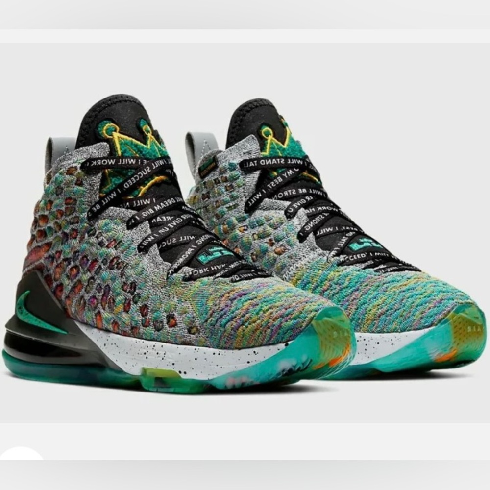Nike Lebron 17